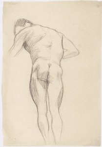 Nudo maschile di schiena verso sinistra 2